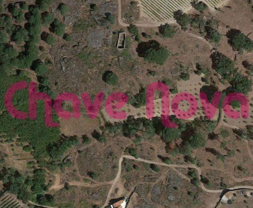 Terreno Agricola ou Rústico para Venda em Moimenta da Serra e Vinhó Foto 1