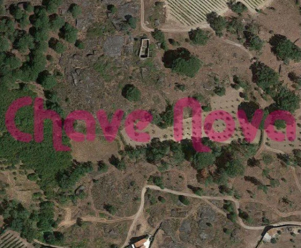 Terreno Agricola ou Rústico para Venda em Moimenta da Serra e Vinhó Foto 1