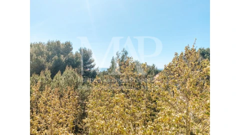 Apartamento T3 para Venda em Cascais e Estoril