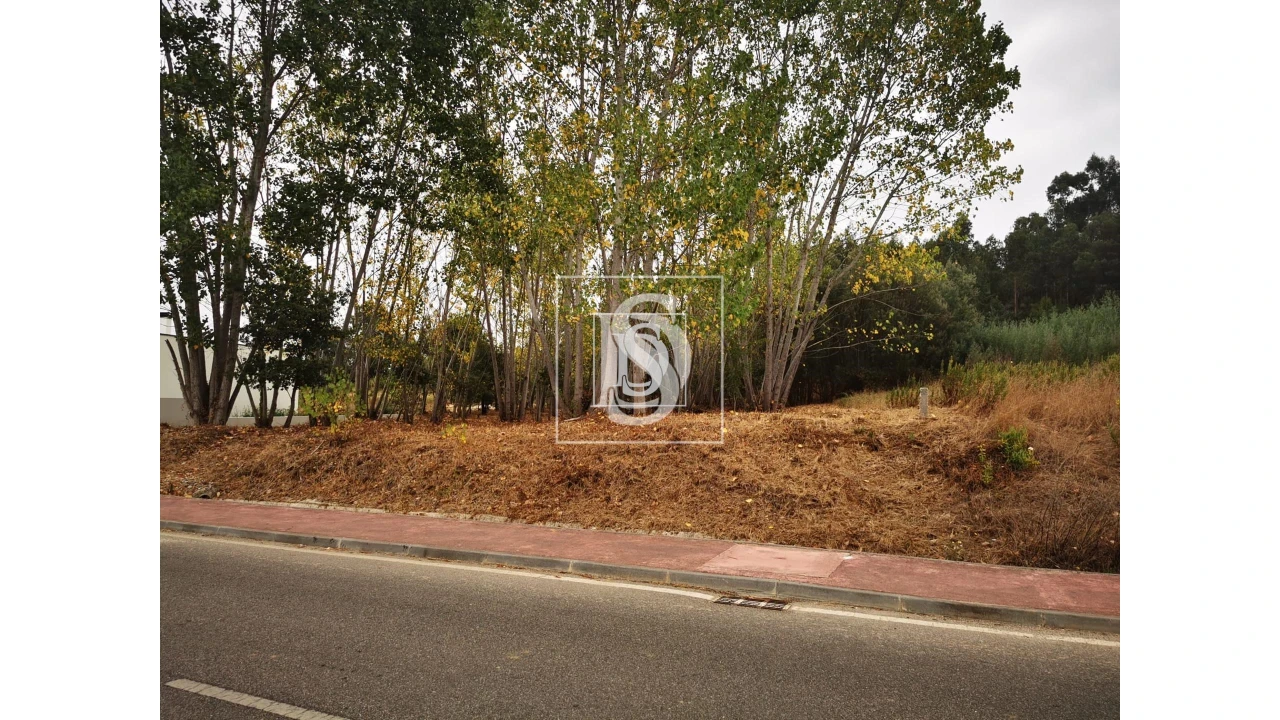 Terreno para Venda em Tamengos, Aguim e Óis do Bairro Foto 4