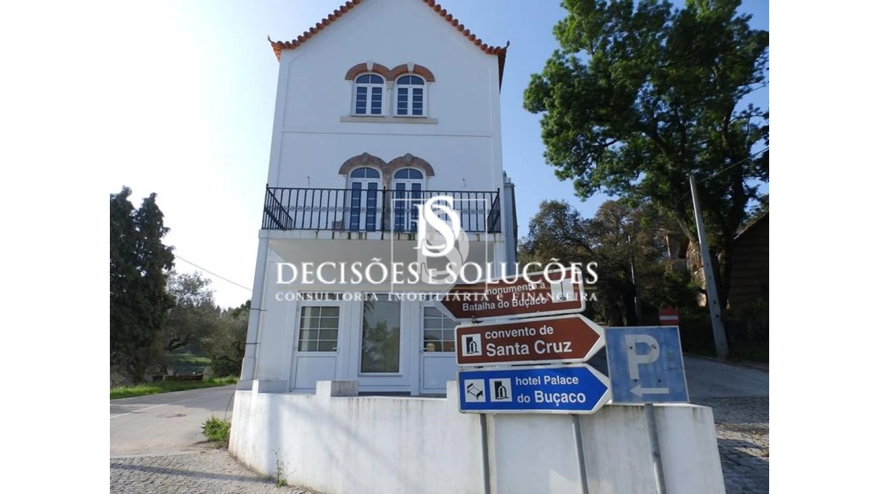 Negócio para Venda em Luso Foto 1