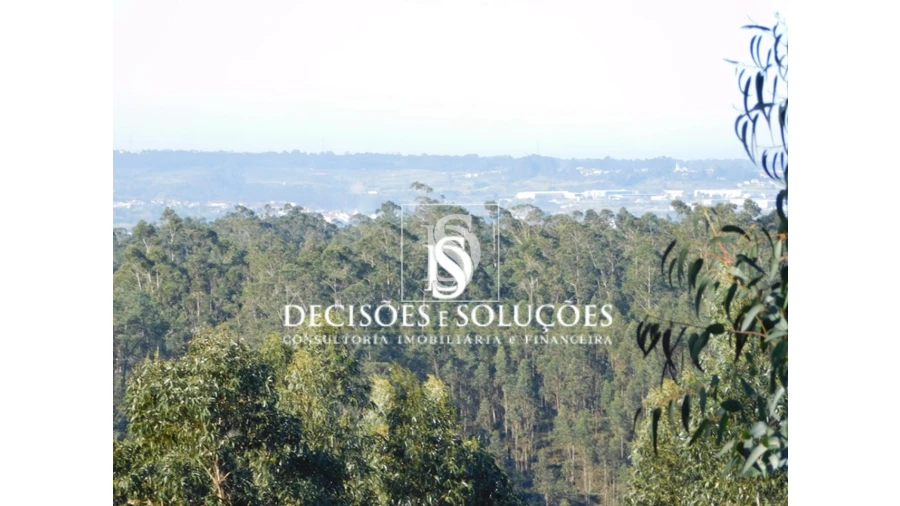 Terreno para Venda em Luso Foto 3