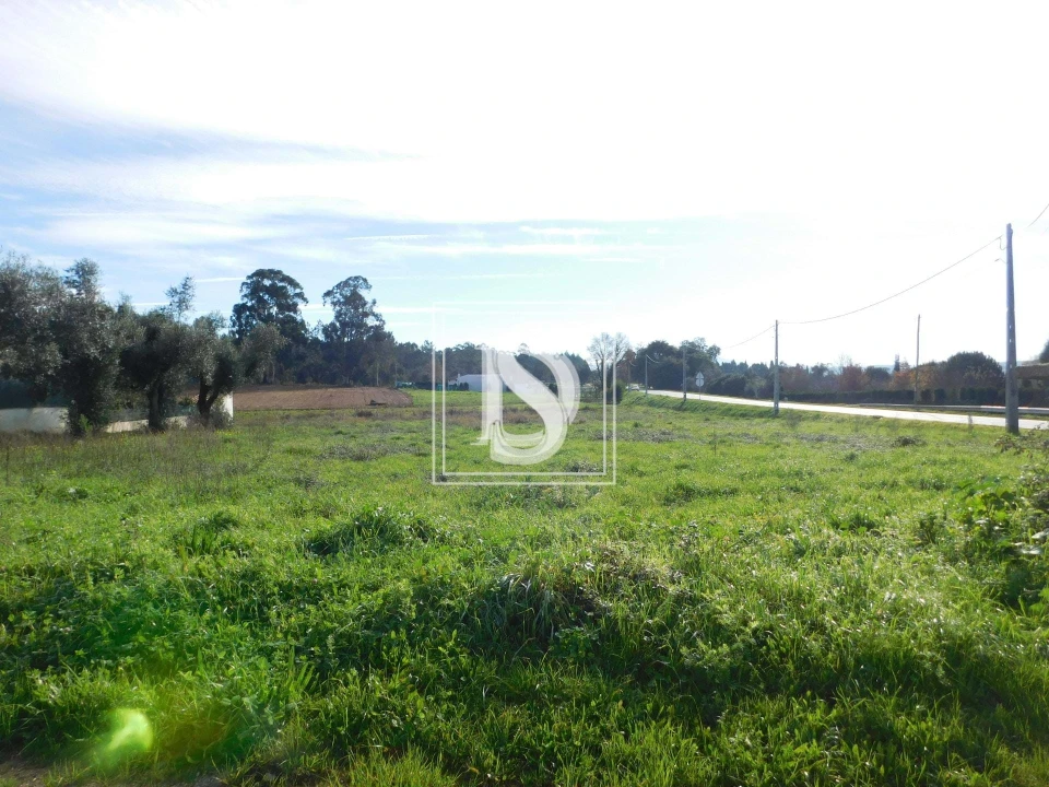 Terreno para Venda em Arcos e Mogofores Foto 9