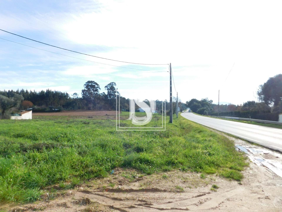 Terreno para Venda em Arcos e Mogofores Foto 3