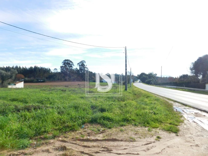Terreno para Venda em Arcos e Mogofores Foto 3