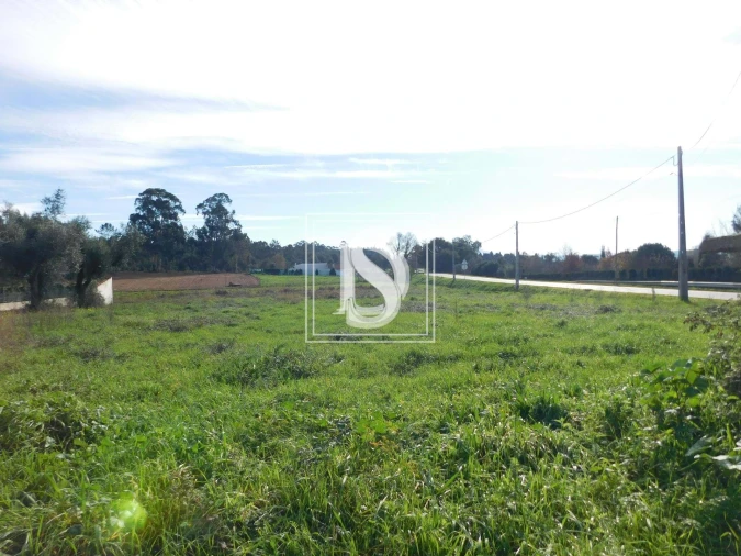 Terreno para Venda em Arcos e Mogofores Foto 8