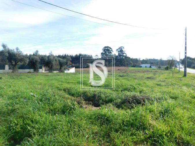 Terreno para Venda em Arcos e Mogofores Foto 2