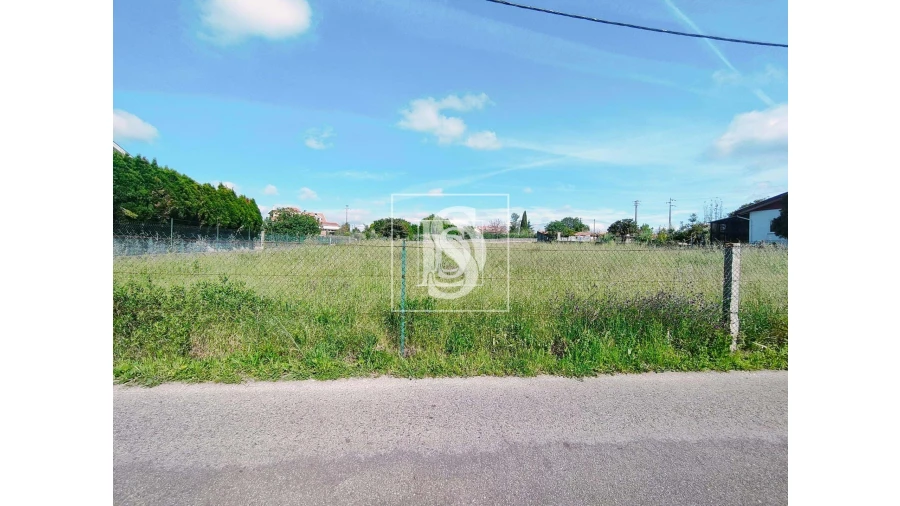 Terreno para Venda em Oiã Foto 2