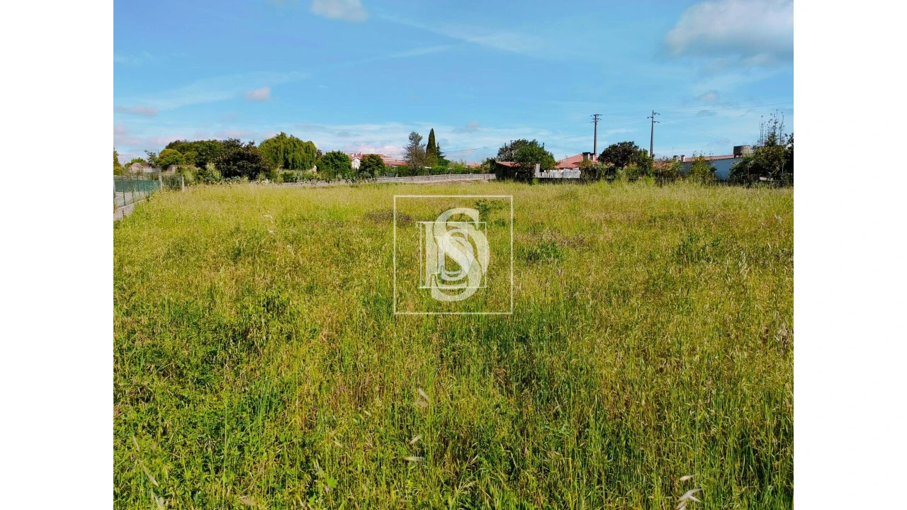 Terreno para Venda em Oiã Foto 1