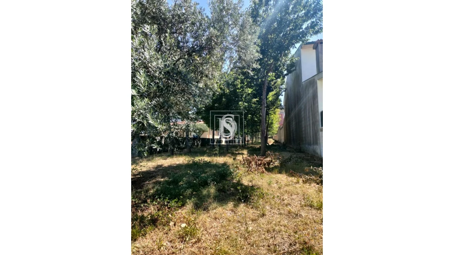 Terreno para Venda em Sangalhos Foto 4