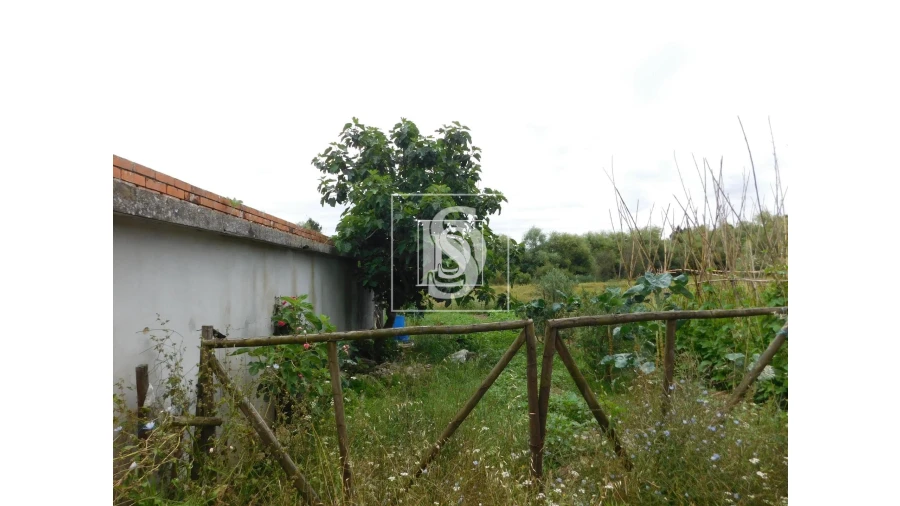 Moradia T2 para Venda em Arcos e Mogofores Foto 3