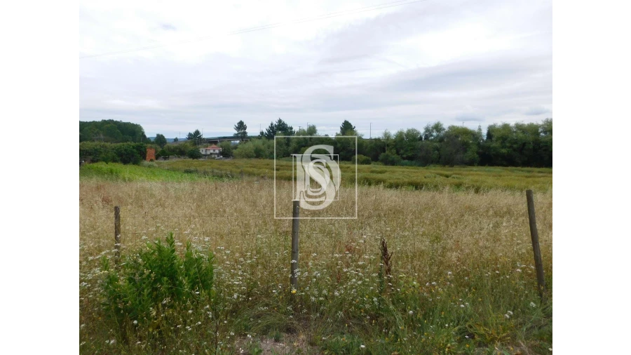 Moradia T2 para Venda em Arcos e Mogofores Foto 10