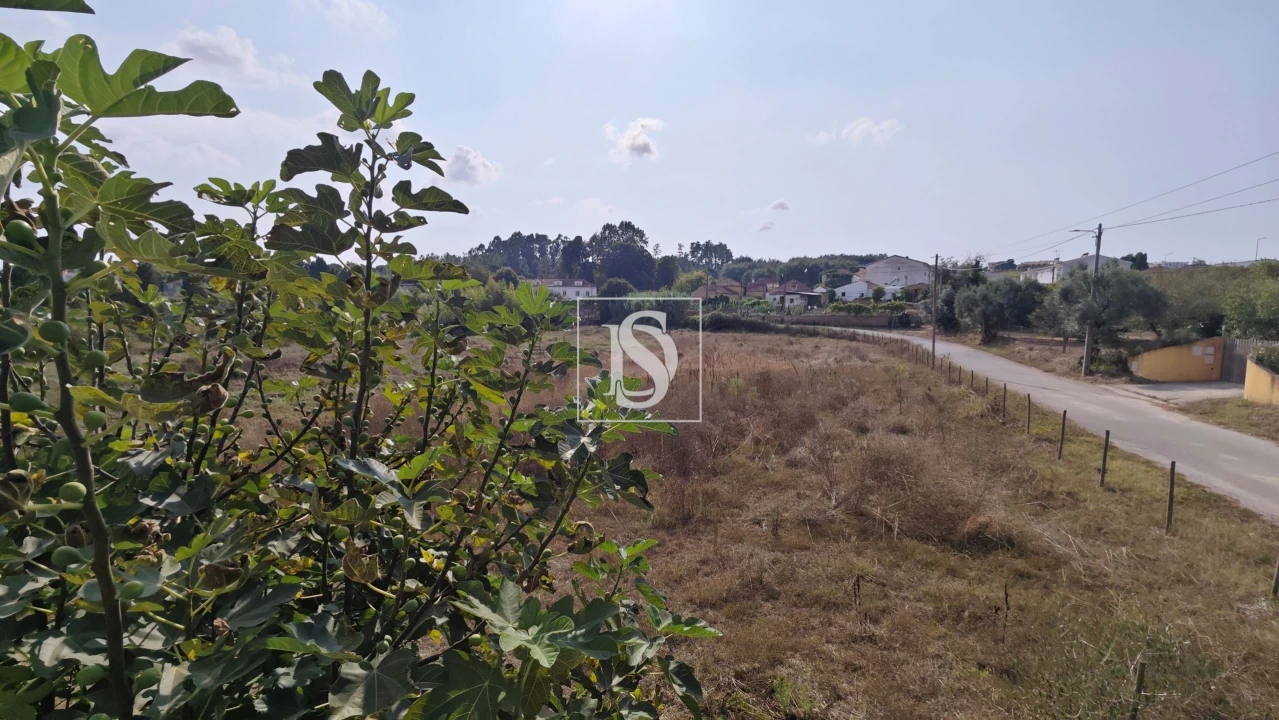 Moradia T2 para Venda em Arcos e Mogofores Foto 26