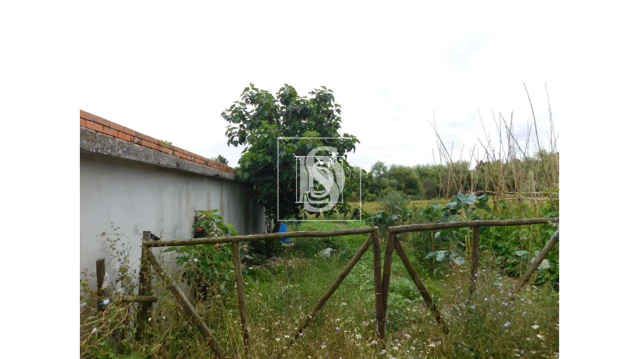 Moradia T2 para Venda em Arcos e Mogofores Foto 3