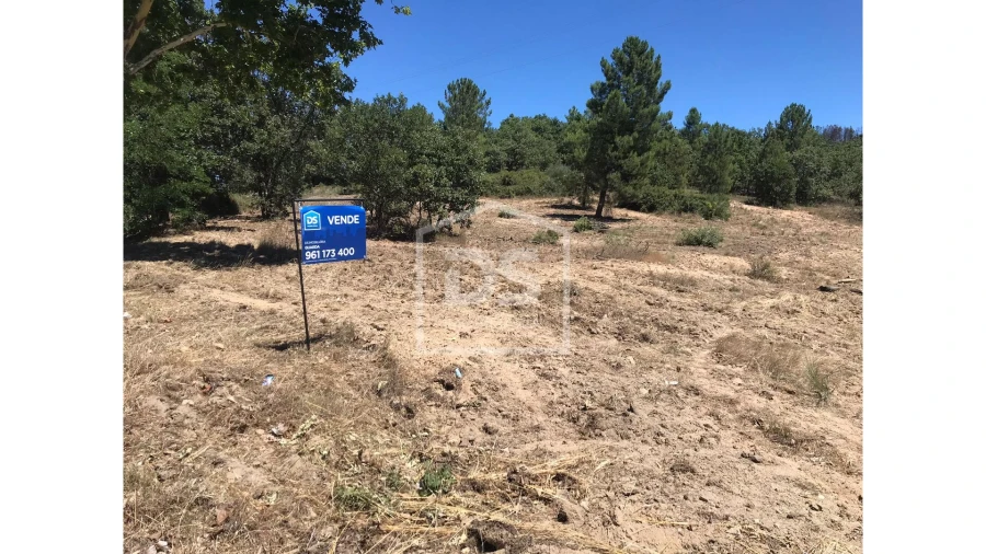Terreno para Venda em Vela Foto 2