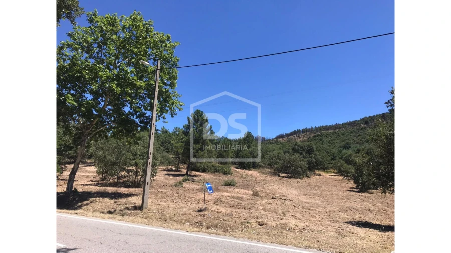 Terreno para Venda em Vela Foto 6
