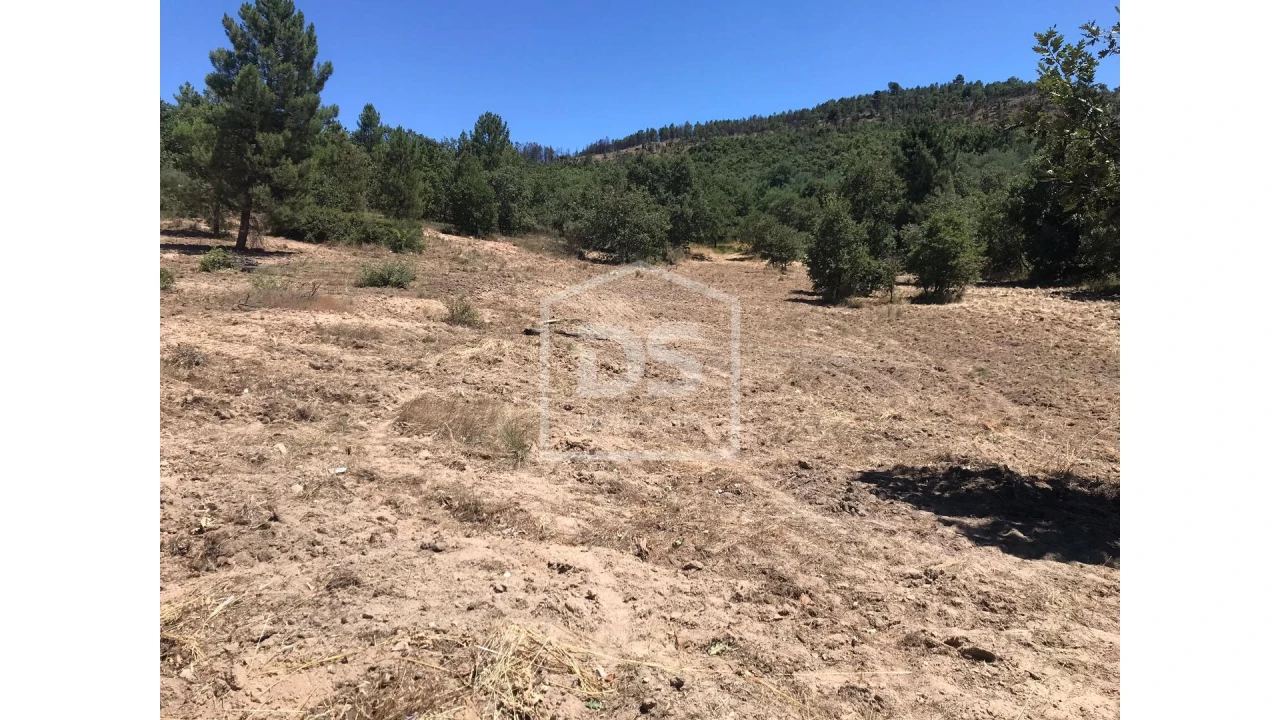 Terreno para Venda em Vela Foto 3