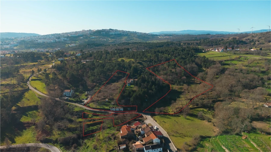 Quinta T0 para Venda em Guarda Foto 4