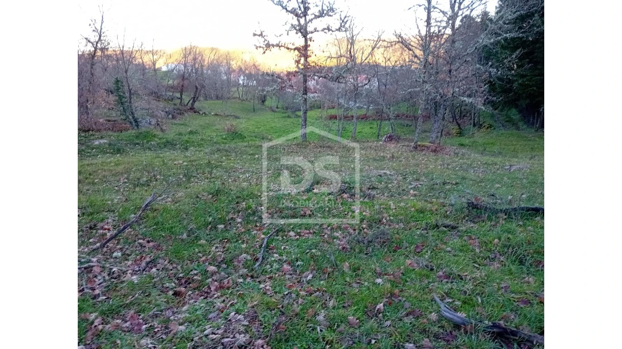 Quinta T0 para Venda em Guarda Foto 8