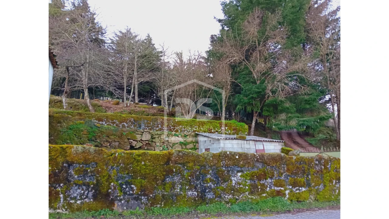 Quinta T0 para Venda em Guarda Foto 6