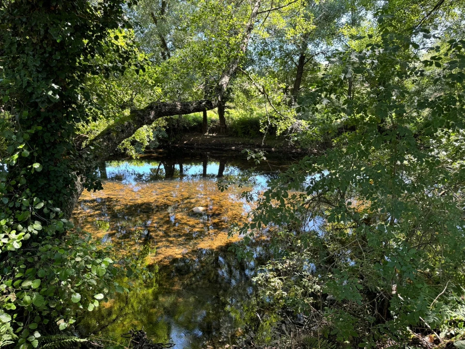 Quinta T0 para Venda em Lajeosa do Mondego Foto 5