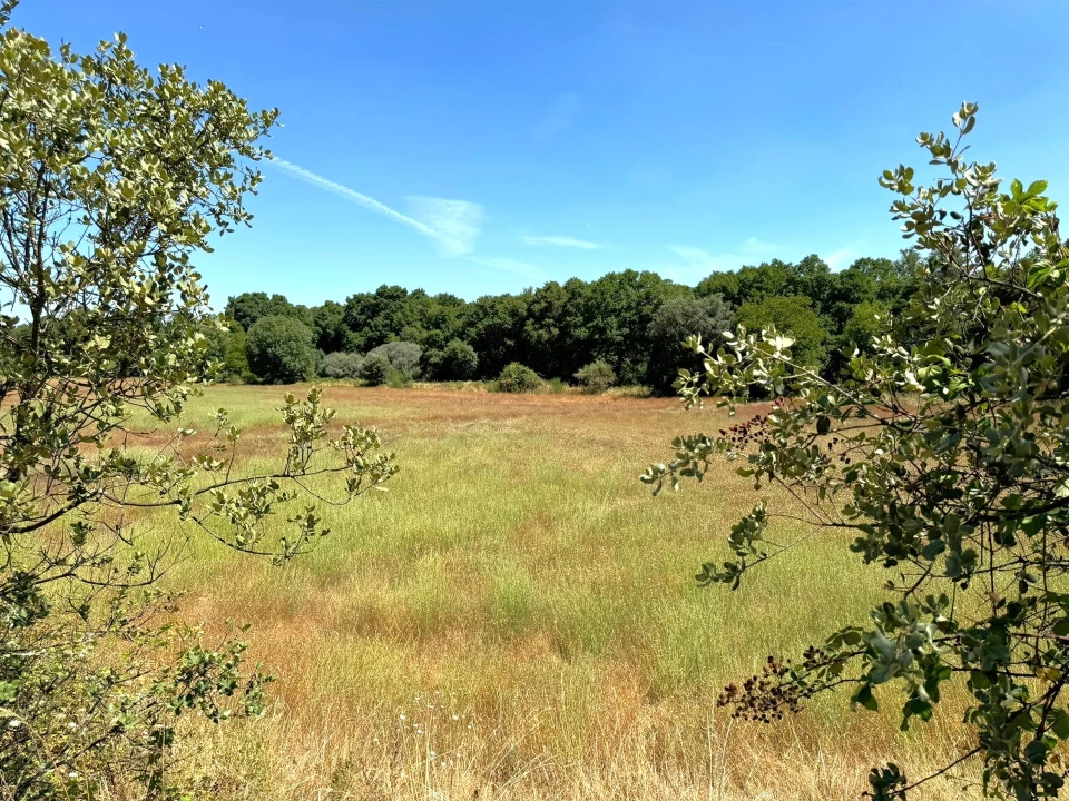 Quinta T0 para Venda em Lajeosa do Mondego Foto 6