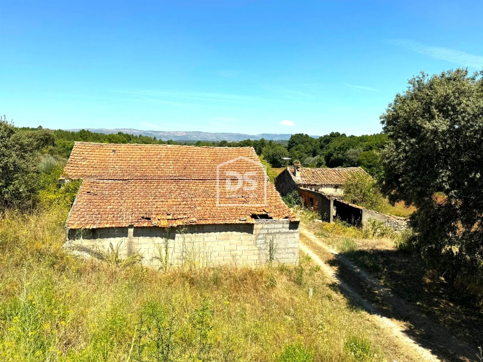 Quinta T0 para Venda em Lajeosa do Mondego Foto 14