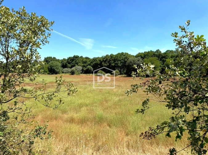 Quinta T0 para Venda em Lajeosa do Mondego Foto 17