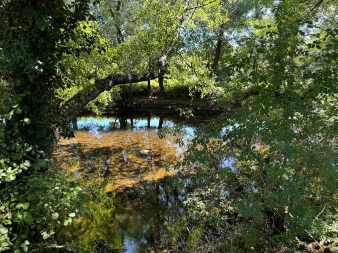 Quinta T0 para Venda em Lajeosa do Mondego Foto 5