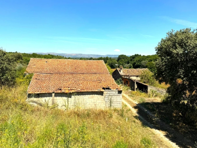 Quinta T0 para Venda em Lajeosa do Mondego Foto 3