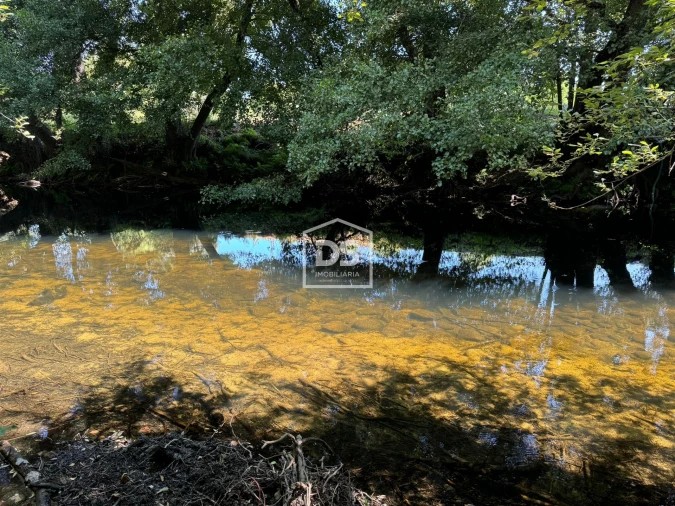 Quinta T0 para Venda em Lajeosa do Mondego Foto 15