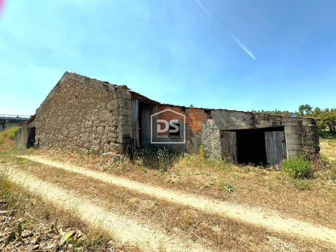 Quinta T0 para Venda em Lajeosa do Mondego Foto 13