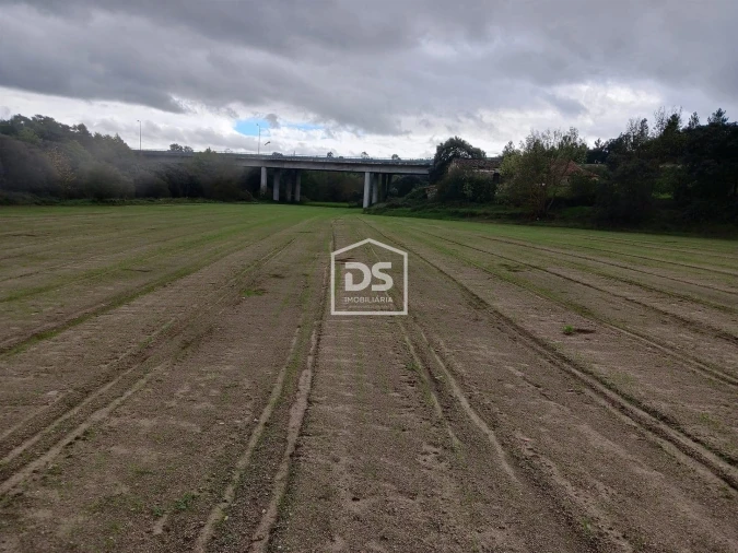 Quinta T0 para Venda em Lajeosa do Mondego Foto 8