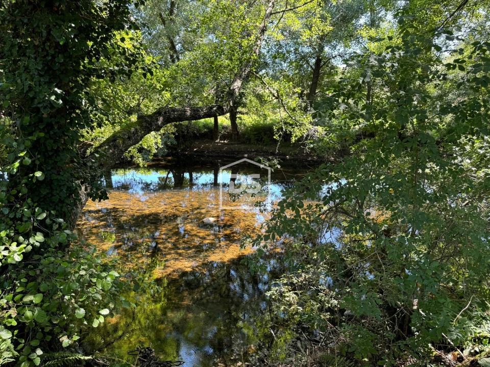 Quinta T0 para Venda em Lajeosa do Mondego Foto 16