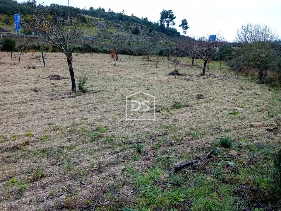 Quinta T0 para Venda em Lajeosa do Mondego Foto 9
