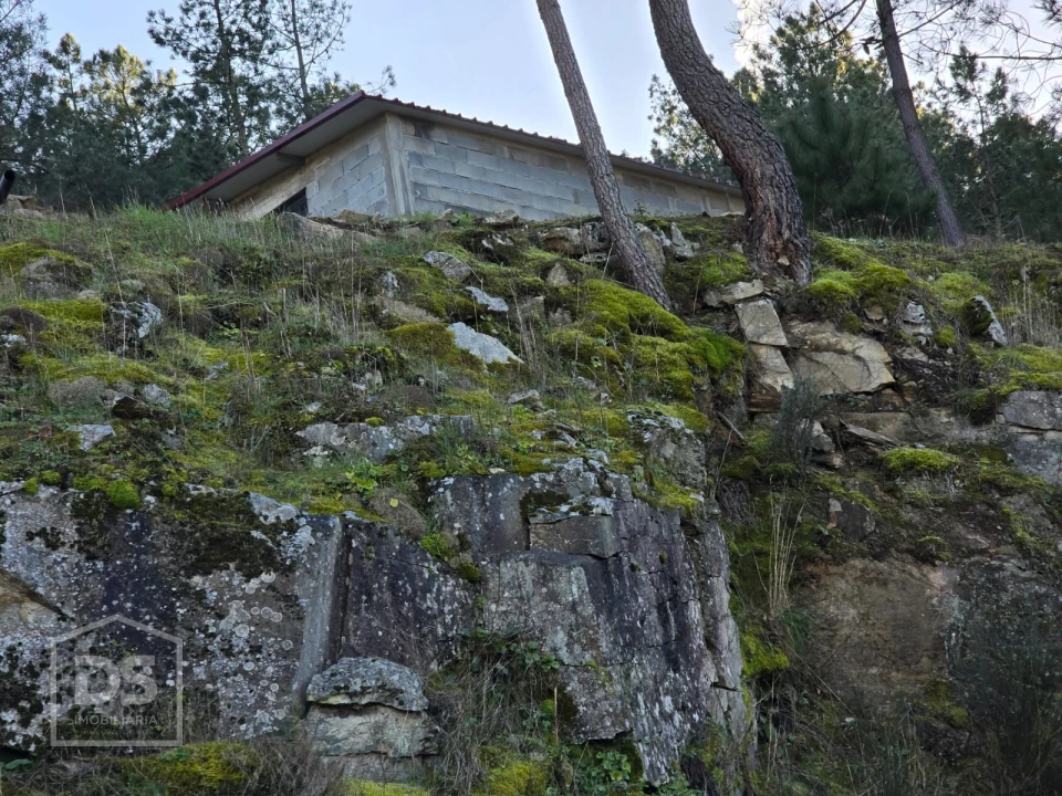 Terreno para Venda em Castelo Foto 3