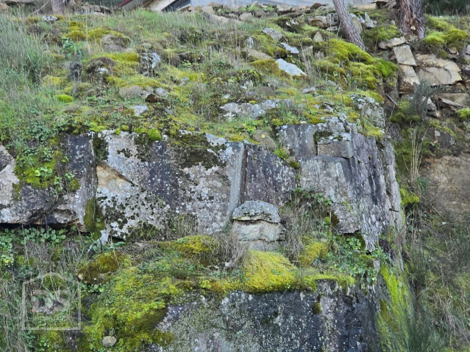 Terreno para Venda em Castelo Foto 9