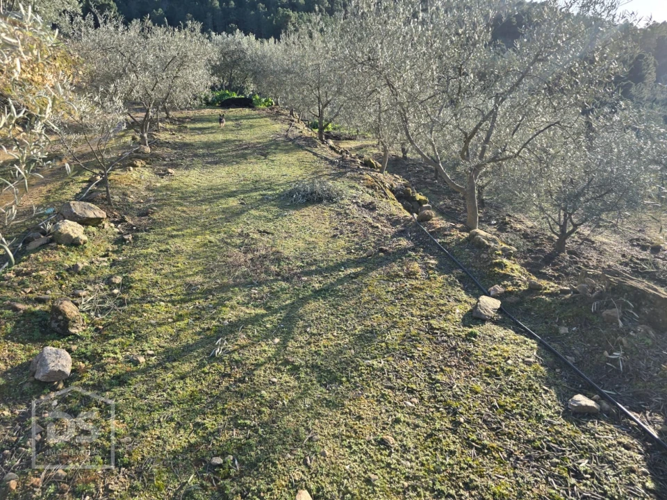 Terreno para Venda em Castelo Foto 23