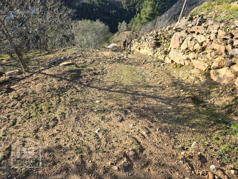 Terreno para Venda em Castelo Foto 26