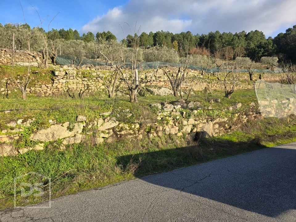 Terreno para Venda em Castelo Foto 18