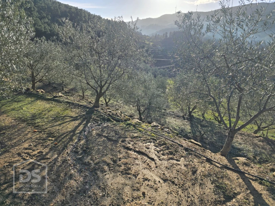 Terreno para Venda em Castelo Foto 20
