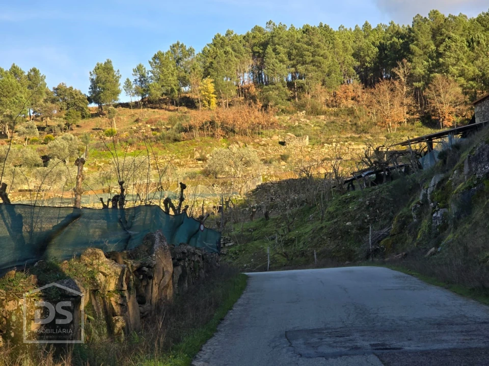 Terreno para Venda em Castelo Foto 8