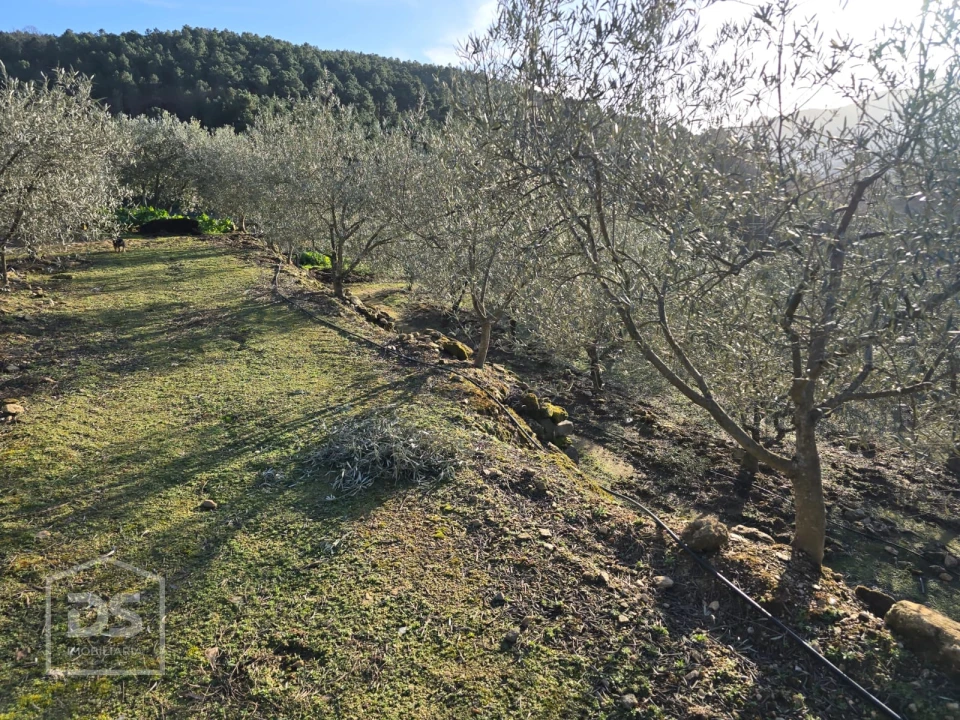 Terreno para Venda em Castelo Foto 21
