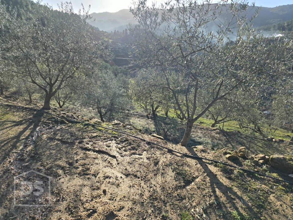 Terreno para Venda em Castelo Foto 25