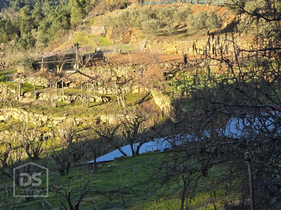 Terreno para Venda em Castelo Foto 7