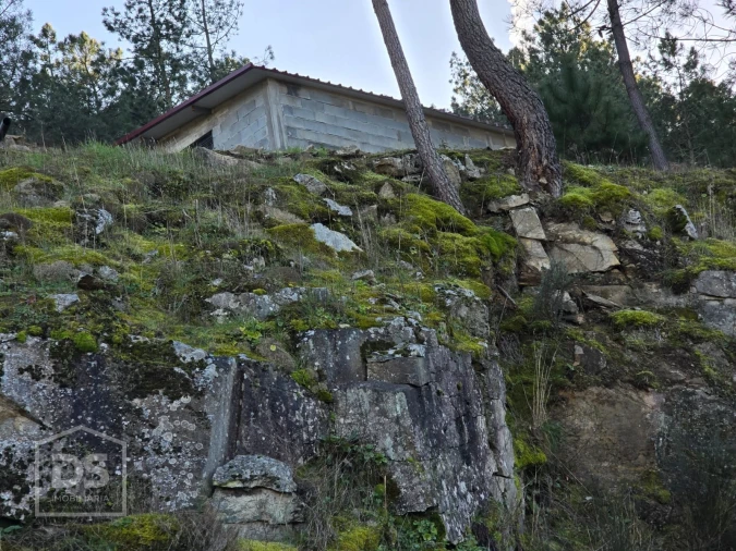Terreno para Venda em Castelo Foto 3