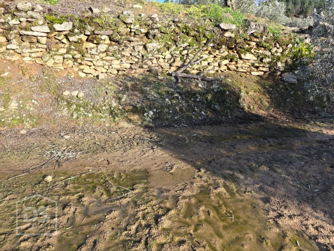 Terreno para Venda em Castelo Foto 29