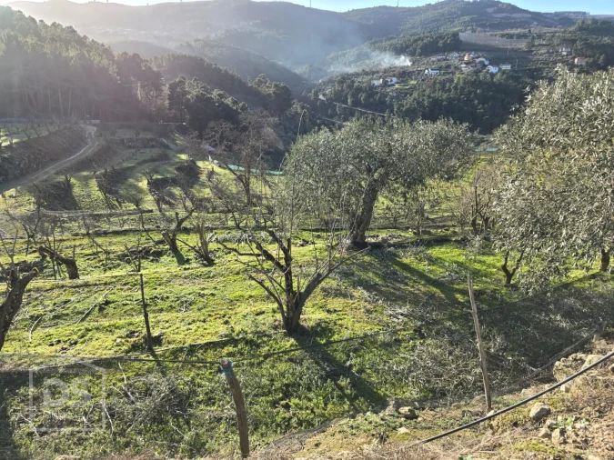 Terreno para Venda em Castelo Foto 15