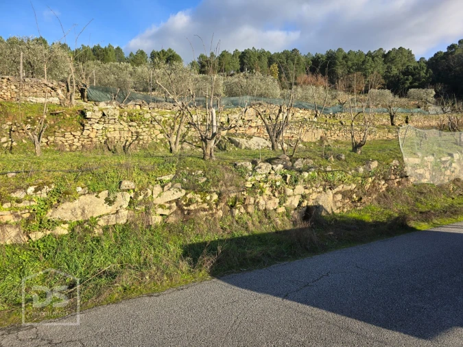 Terreno para Venda em Castelo Foto 18