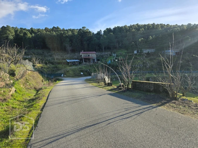 Terreno para Venda em Castelo Foto 14